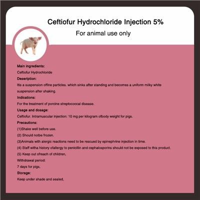 Ceftiofur cloridrato iniezione 5 percento